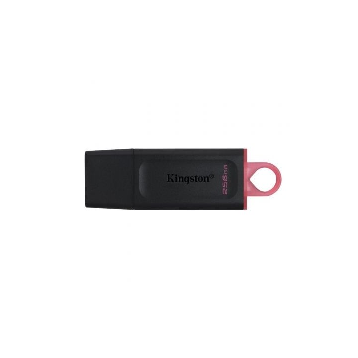 Kingston DataTraveler DTX 256GB USB 3.2 Gen1 Negro