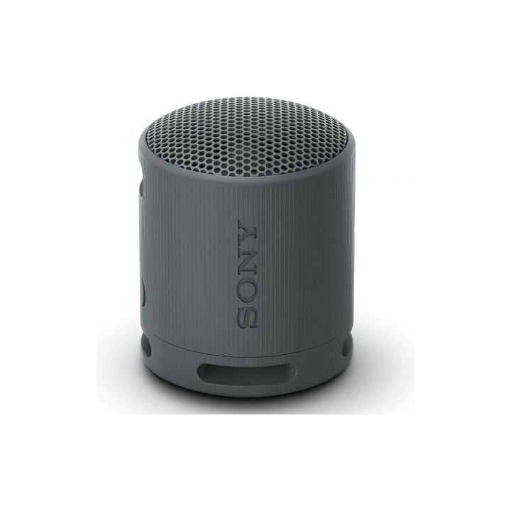 Altavoz Portable con Bluetooth Sony XB100/ 2.0/ Negro